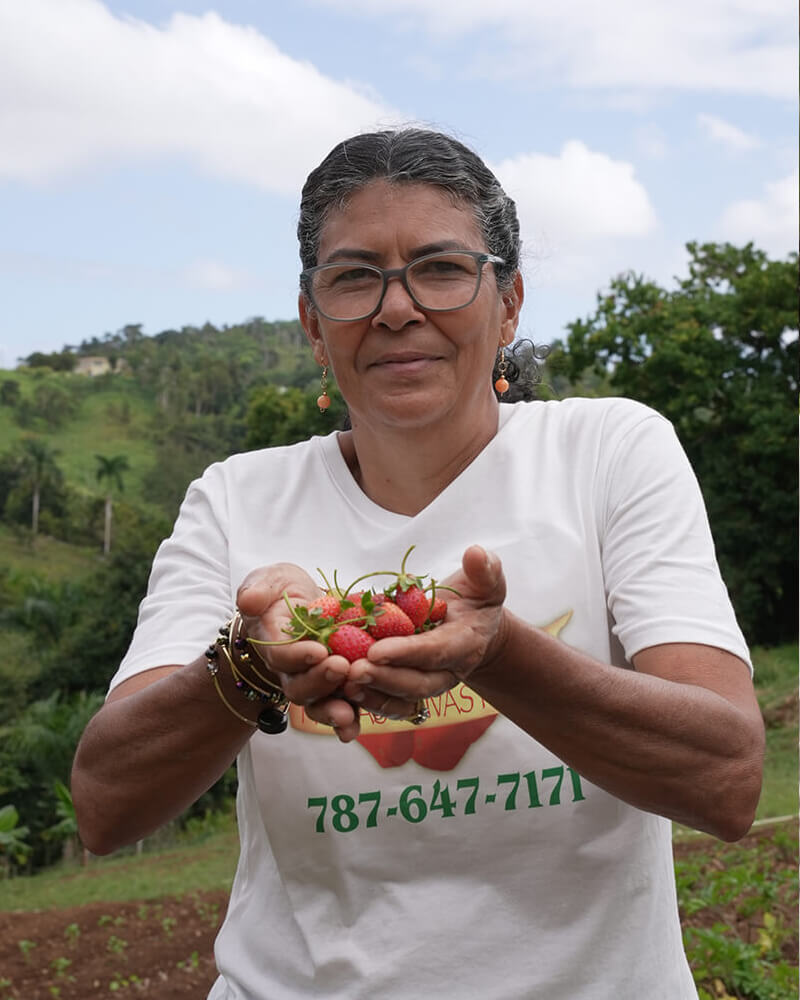 Marilyn Rosas Agroempresaria/apicultura de Fresas y Uvas Rose